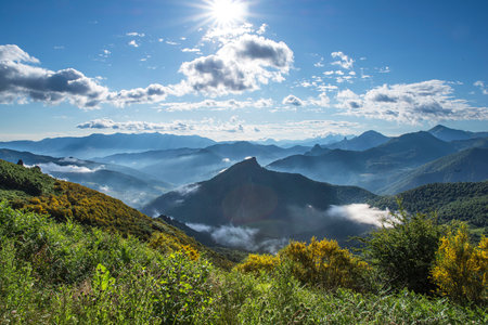 Typical landscape of the Picos de Europa National Park in Spain in summer with beautiful vegetationの写真素材
