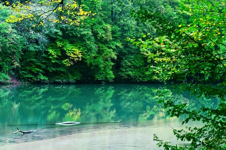 Beautiful Forest Pond の写真素材