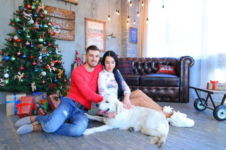 Loving couple sitting and cuddling, posing for camera, beside Labrador dog in studio on New Year...