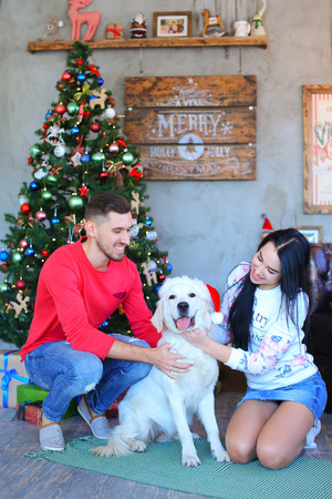 Girlfriend and boyfriend look at each other, playing with dog in santa hat, sitting and posing for camera, in studio on New Year background, Christmas tree and festive decorations. Man dressed in red sweater, blue jeans and striped loafers, girl dressed iの写真素材