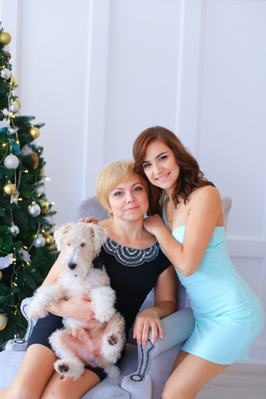 Mother and daughter hugged each other and smile and pose for camera. Woman sits in gray chair and holds dog of small terrier fluffy, girl standing near white wall in studio. Girl dressed in short blue dress gentle, woman dressed in black short dress with の写真素材