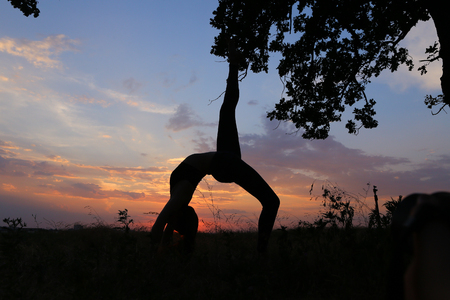 Female with beautiful figure takes yoga postures, gymnastics and ballet spends stretching and meditating, posing for advertising shoot fitness studio, healthy energy drink, dancing belly dancing among wide field on background of pink sunset and beautiful の写真素材