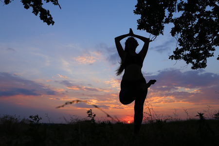 Female with beautiful figure takes yoga postures, gymnastics and ballet spends stretching and meditating, posing for advertising shoot fitness studio, healthy energy drink, dancing belly dancing among wide field on background of pink sunset and beautiful の写真素材