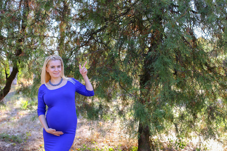 Beautiful Young Woman and Future Mother Prepares For Birth of Baby, Looking in Camera and Showing Gesture With Hands on Potential Place to Advertise, Posing For Photograph and Advertises Products For Pregnant Women, Stands Among Big Green Sunny Park in Opの写真素材