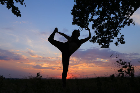 Female with beautiful figure takes yoga postures, gymnastics and ballet spends stretching and meditating, posing for advertising shoot fitness studio, healthy energy drink, dancing belly dancing among wide field on background of pink sunset and beautiful の写真素材