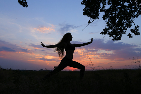 Female with beautiful figure takes yoga postures, gymnastics and ballet spends stretching and meditating, posing for advertising shoot fitness studio, healthy energy drink, dancing belly dancing among wide field on background of pink sunset and beautiful の写真素材
