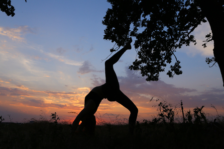 Female with beautiful figure takes yoga postures, gymnastics and ballet spends stretching and meditating, posing for advertising shoot fitness studio, healthy energy drink, dancing belly dancing among wide field on background of pink sunset and beautiful の写真素材