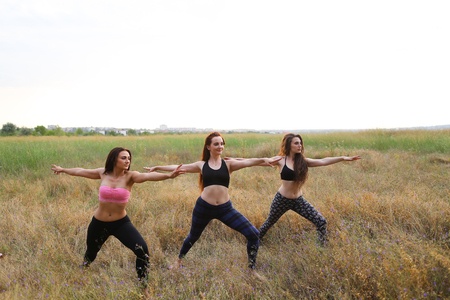 Lovely lady doing pilates exercise or asana of yoga, try to keep balance, practice sports in open air among wide green field. Girl with shoulder-length hair dressed in pink top and black leggings, girl with long red hair dressed in black sports top and stの写真素材