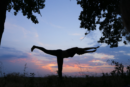 Female with beautiful figure takes yoga postures, gymnastics and ballet spends stretching and meditating, posing for advertising shoot fitness studio, healthy energy drink, dancing belly dancing among wide field on background of pink sunset and beautiful の写真素材