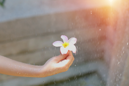 portrait of water drops fall on flower hold by little girl on sunny day outside. concept of summer recreation, travel and enjoy lifeの写真素材