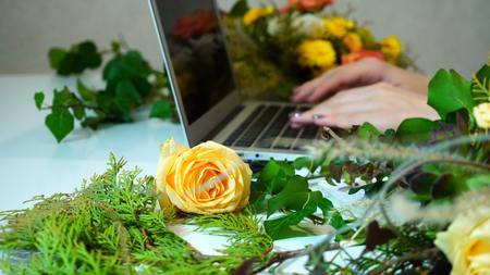 Shooting close-up of pale yellow roseの写真素材