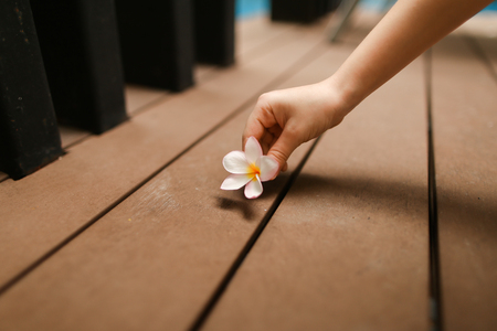Close up portrait of kids hand hold flower. Concept of travel, recreation and tropical countries sunny day.の写真素材