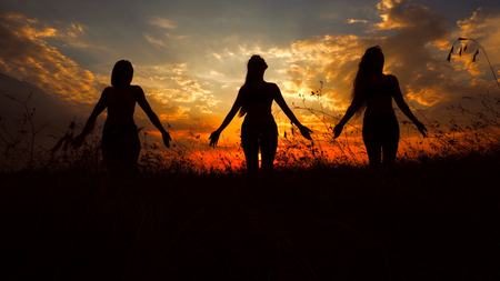 Female black figures doing yoga in sunset background and meditating. Concept of relaxing in steppe and summer inspiration.の写真素材