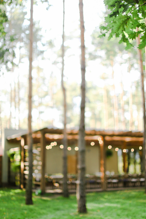 Blurred photo of house with yellow garland. Concept of extarior and nature.