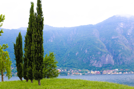 Tall cypress trees on green grass near lake Como and Alps mountain in background Concept of nature traveling to Europe.の写真素材