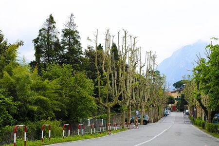 Rural picturesque street with trees, cars and blue mountain in background. Concept of southern resort.の写真素材
