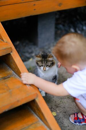 Little male baby playing with cat. Concept of child and pet.の写真素材