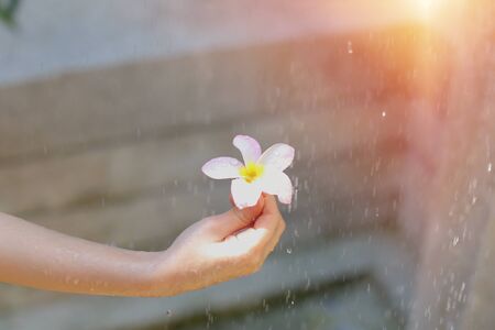 portrait of water drops fall on flower hold by little girl on sunny day outside. concept of summer recreation, travel and enjoy lifeの写真素材