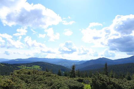 Green landscape of Appenine mountains with fir trees and conifer plants. Concept of resting and summer vacations in Europe on nature.の写真素材