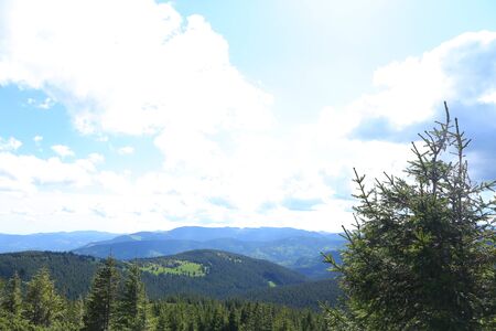 Amazing Alps with fir trees and clouds in background. Concept of last minute tours to Europe mountains.の写真素材