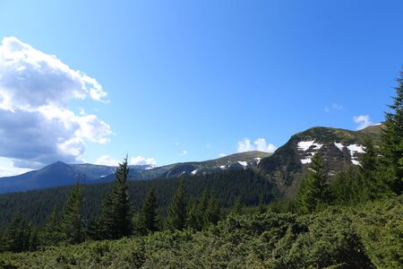 Amazing landscape of Appenine mountains with fir trees and conifer plants. Concept of resting and summer vacations in Europe on nature.の写真素材