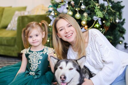 Young woman sitting with little daughter and adult malamute near Christmas tree.の写真素材