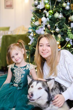 Young cacuasian woman sitting with little daughter and adult malamute near Christmas tree.の写真素材