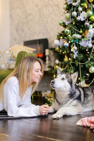 Young caucasian girl lying on floor with adult malamute near Christmas tree. Concept of celebrating New Year, winter vations and pets.の写真素材