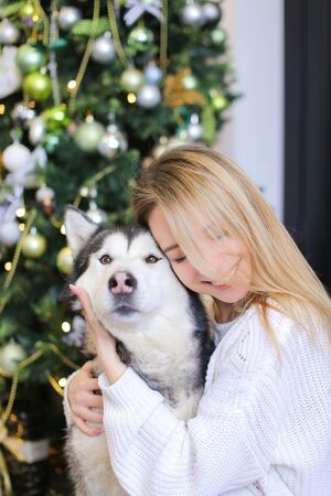 Portrait of young happy girl with husky, decorated fir tree in background.Concept of celebrating Christmas and New Year, pets and winter holidays.の写真素材