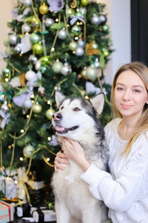 Portrait of young european girl with husky, decorated fir tree in background.Concept of celebrating Christmas and New Year, pets and winter holidays.の写真素材