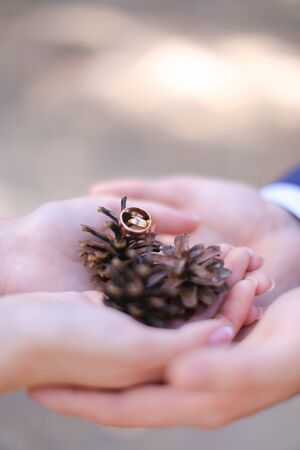 Cloweup pinecones and rings in arms. Concept of wedding photo session and nature.の写真素材