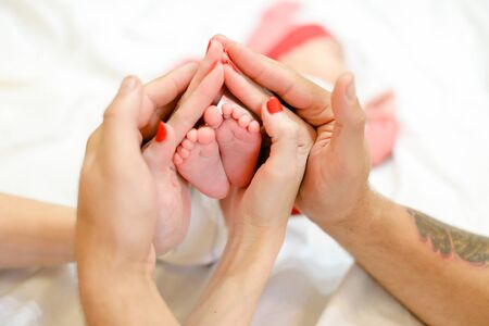 Mother and father hands holding newborns baby legs in white background. Concept of happy family and babes.の写真素材