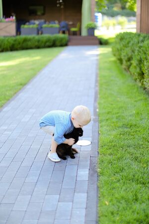 Little boy playing with black cat outdoors. Concept of childhood and pets.の写真素材
