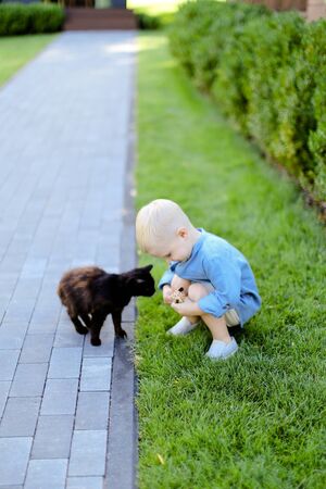 Little caucasian boy in jeans shirt standing with cat in yard. Concept of kids, childhood and pets.の写真素材