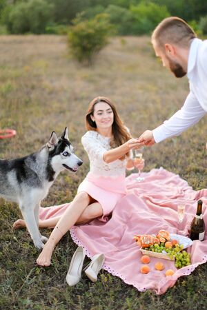 Young woman and man drinking wine on plaid in steppe near dog malamute. Concept of nature and pets.の写真素材