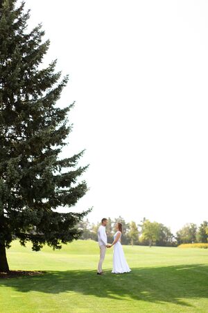 Young european bride and groom walking near green big spruce on grass in white sky background. Concept of evergreens and wedding.の写真素材