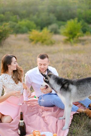 Young woman and man drinking wine on pink plaid near husky, focus on dog. Concept of resting on nature, picnic and pets.の写真素材