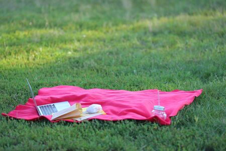 laptop on nature. workplace in nature. fast food snack.の写真素材