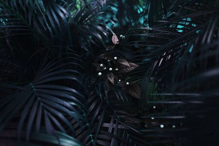 dark blue exotic fantastic portrait of turquoise palm leaves and flower. concept of travel, phone or laptop wallpaper backgroundの写真素材