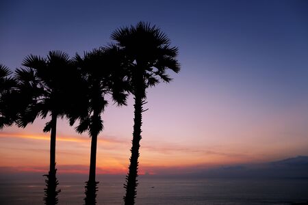 Silhouette of Palm landscape at sunset in Thailand Phuket, leaves and trees against background of the sun sits beyond Andaman sea horizon. Blue and orange colors. concept of nature, happiness and travelの写真素材