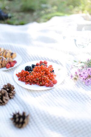 Red berries on plate near croissants and flowers on white blanket. Concept of summer picnic and vegerian lifestyle.の写真素材