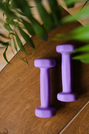 Light weight violet women dumbbells lying on wooden table. Concept of rehabilitation and sport training equipment.の写真素材