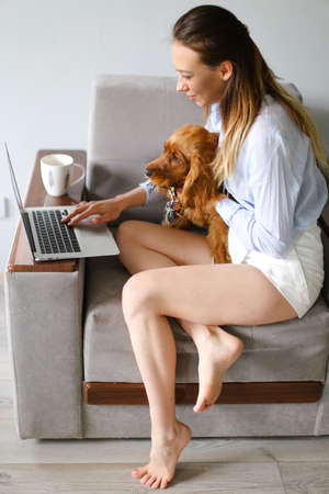 Caucasian european female freelancer working on laptop and playing with spaniel dog at home. Concept of modern technology, freelance job during quarantine time and pets.の写真素材