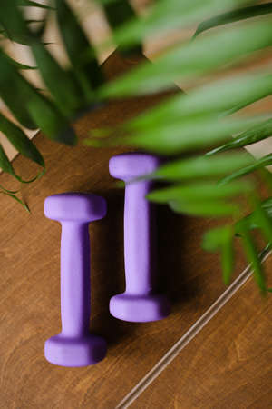 Light weight dumbbells lying on wooden table.の写真素材