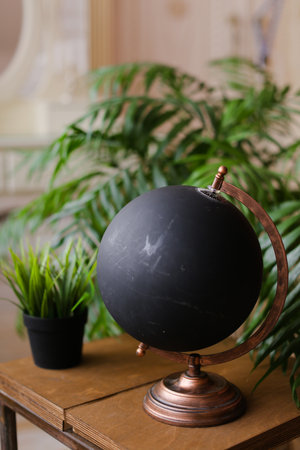 Black globe standing on wooden table near houseplants.の写真素材