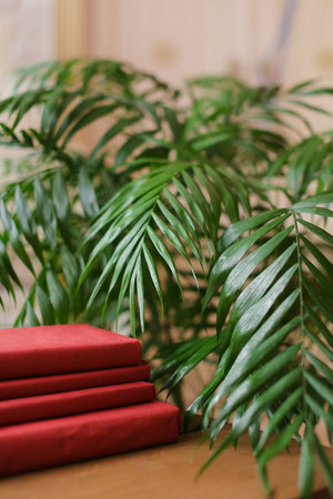 Books in red cover lying near houseplants.の写真素材