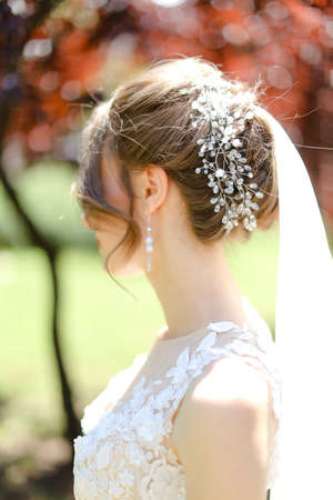 Back view portrait of bride wearing veil and white dress.の写真素材