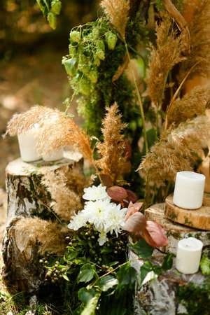 White paraffin candles on wooden decorated stumps.の写真素材