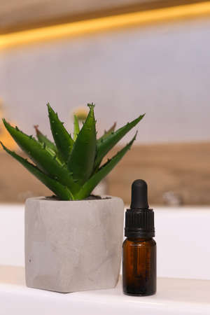 Natural skincare cosmetics, creams and oils on bath background. Plant-based beauty products.の写真素材