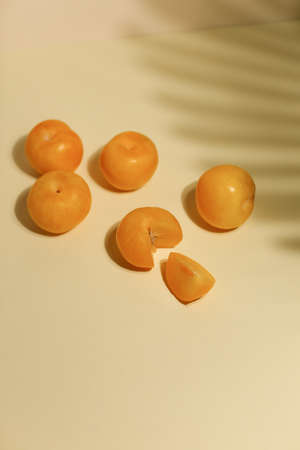 Marian Plum, prange plum on neutral background with palm shadowの写真素材